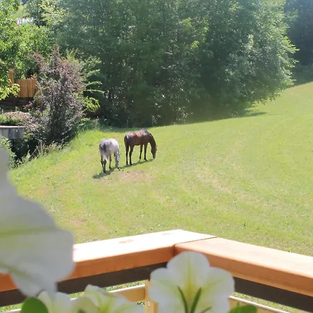 Сasa de vacaciones House Gabrijel With Four Seasons Outdoor Kitchen Bled
